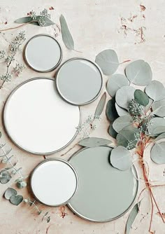 three round mirrors with leaves and flowers on the floor next to each other in front of them