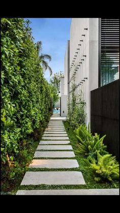 a long narrow walkway between two buildings with plants growing on each side and bushes lining both sides