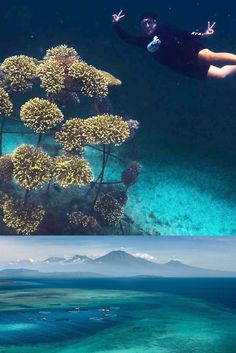 two pictures one is underwater and the other has corals on it in the water