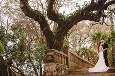 a bride and groom standing on some steps in front of a tree with lots of leaves