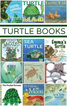 the turtle books are all in different colors and sizes