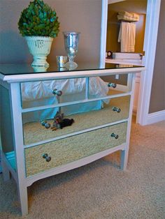 a white dresser with drawers and a potted plant on top in a living room