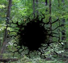 a black object in the middle of a forest