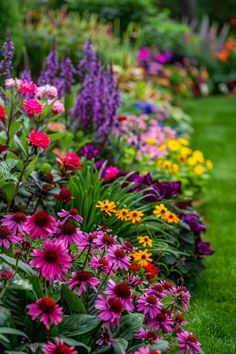 colorful flowers line the edge of a flower bed in a garden with lush green grass