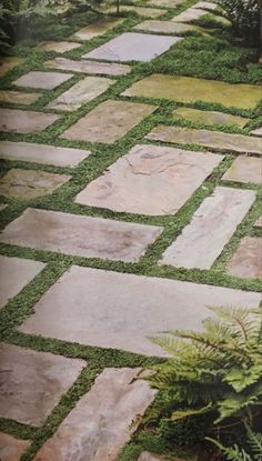 a stone walkway with grass growing on it