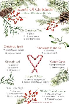 Candle Recipes, Christmas Diffuser Blends, Essential Oil Combinations, House Organization, Essential Oil Diffuser Blends Recipes, Young Living Essential Oils Recipes, Essential Oil Diffuser Recipes, Oil Diffuser Recipes, Yl Essential Oils