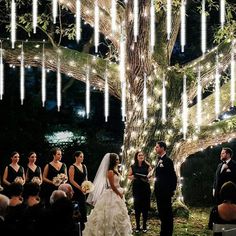 a bride and groom standing under a tree with their wedding party in front of them