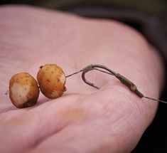 two tiny potatoes sitting on the palm of someone's hand with a fishing hook