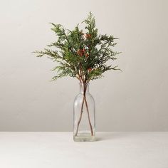 a glass vase filled with red berries and greenery