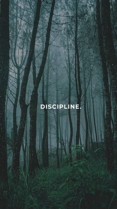 a forest filled with lots of trees covered in fog and the words discipline written on it