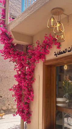 pink flowers growing on the side of a building in arabic writing and hanging from it's roof