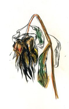 a drawing of a piece of cloth hanging from a string