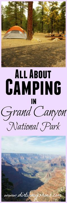 the grand canyon national park with text overlaying all about camping in grand canyon national park