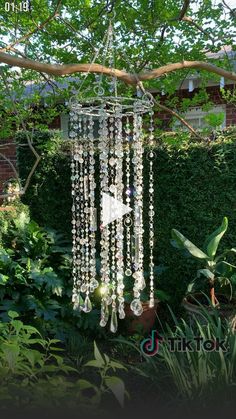 a wind chime hanging from a tree branch in the middle of some bushes and plants