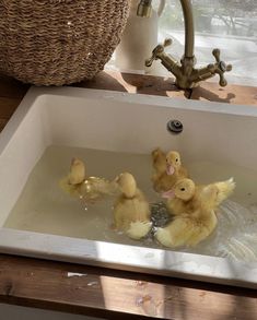 four ducks in a sink with water running down the side and one duckling on the floor