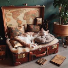 an orange and white cat laying on top of a suitcase next to pillows, books and a potted plant