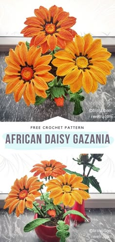 an image of african daisy gazzana in a vase