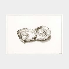 two oysters are shown in black and white