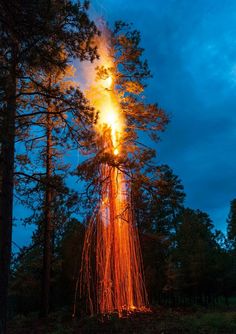 a large fire in the middle of a forest with lots of flames coming out of it