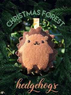 a christmas ornament hanging from a tree with the words hedgehogs on it