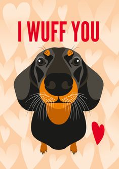 a black and brown dachshund with hearts in the background that says i wuff you