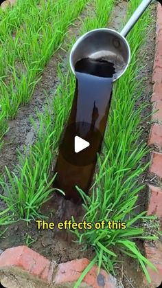 a metal pot with water in it sitting on the ground next to some green grass