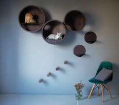 a chair sitting in front of a wall with shelves on it and a cat sleeping inside