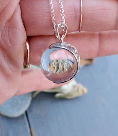 An extra large 20mm crystal clear quartz, tension set in a sterling silver, filigree, crescent moon shaped pendant.   The pendant is polished to a bright, shiny finish. Arrives with the pictured, 24 inch sterling silver rolo chain.  The 8th picture shows the filigree back of the mount. The chain shown is the chain that is included.   There has been no drilling or marring of the quartz whatsoever. The whole quartz sphere is what gives the piece its authenticity. Undrilled whole orbs are the hallm Silver Spherical Jewelry Gift, Unique Round Moon Charm Jewelry, Unique Silver Orb-shaped Jewelry, Handmade Silver Sphere Jewelry, Clear Round Gemstone Jewelry, Handmade Clear Round Jewelry, Silver Orb Necklace For Gift, White Spherical Jewelry Gift, White Spherical Jewelry For Gifts