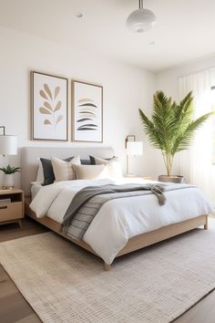 a bedroom with a bed, dresser and plant in it