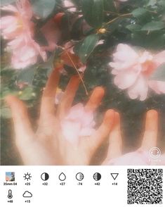 someone's hand reaching for flowers in front of the camera