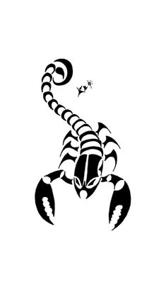 a black and white scorpion tattoo design with stars on it's back, in the shape