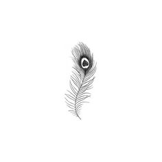 a black and white drawing of a feather