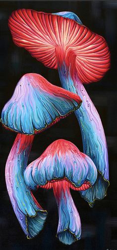 two red and blue mushrooms are shown in this acrylic painting by the artist