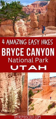 the canyons and cliffs in bryce canyon national park utah with text overlay reading 4 amazing easy hikes