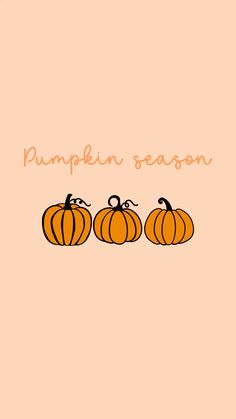 three pumpkins sitting next to each other on top of a pink background with the words pumpkin season