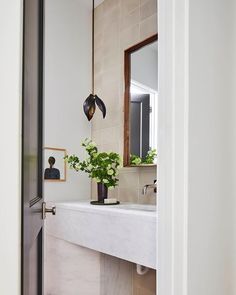 a bathroom with a sink, mirror and plant on the counter in front of it