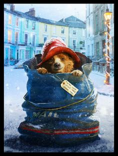 a teddy bear is sitting in a bag on the street while it's snowing