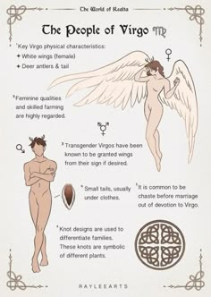 an info sheet describing the different types of virgos and how they are used