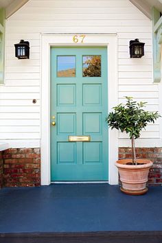 a potted plant sitting in front of a blue door