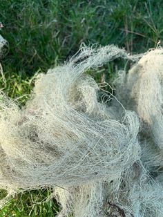 some white yarn is laying on the ground in the grass and it looks like they are tangled together