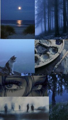 a collage of images with people and animals in the background, including a cat sitting on top of a boat