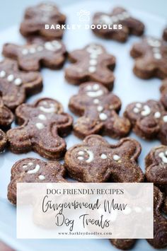 gingerbread man dog treats on a plate with the title text overlay reads dog friendly recipes gingerbread man dog treats