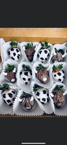 chocolate covered strawberries are arranged in the shape of cows