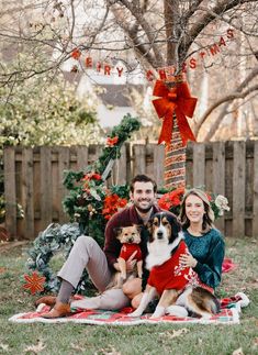 a man and woman sitting on a blanket with their dogs in front of a christmas tree