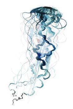 a watercolor drawing of a jellyfish in blue and white colors on a white background