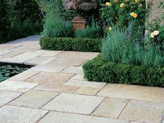 an outdoor garden with water and flowers