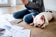 a dog sitting on the floor next to a pile of papers and a calculator