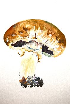 a watercolor painting of a mushroom on a white background