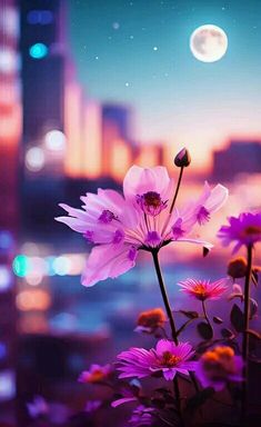 purple flowers in front of a cityscape at night with the moon shining brightly