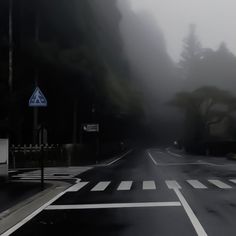 a foggy street with trees on both sides and a blue sign in the middle